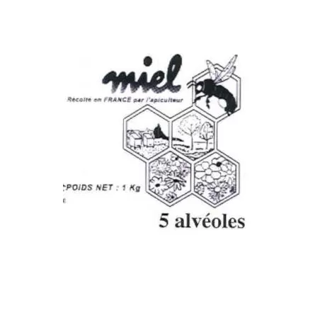 Pots plastique Miel 500 Gr (pack de 25) décor alvéoles