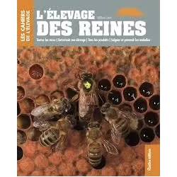 L'Elevage de reines