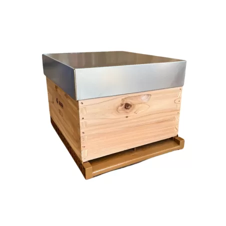 Ruche cèdre Dadant 10 complète