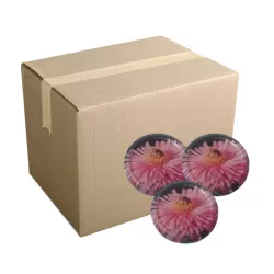 Carton capsules T082 Noir Abeille fleur x 750