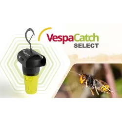 Piège à frelon Vespacatch Select
