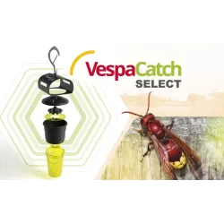 Piège à frelon Vespacatch Select