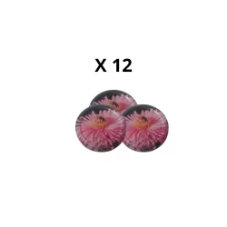 Capsules T082 noir abeille fleur x 12