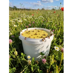 Kit Abreuvoir flottant pour abeilles avec seau de 5L