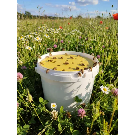 Kit Abreuvoir flottant pour abeilles avec seau de 5L