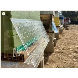 Muselière anti-frelon pour ruche | Protection abeilles efficace