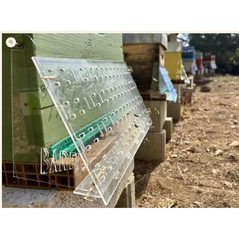 Muselière anti-frelon pour ruche | Protection abeilles efficace