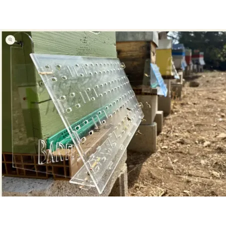 Muselière anti-frelon pour ruche | Protection abeilles efficace