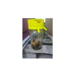 Piège Frelon Asiatique Tiny Trap Simple — Sélectif | Aux Abeilles Alpines