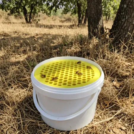 Kit Abreuvoir flottant pour abeilles avec seau de 5L