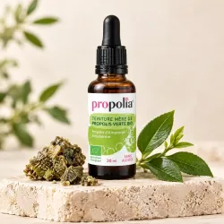Flacon compte-gouttes de teinture mère de propolis verte bio Propolia sur socle minéral avec propolis brute
