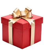 IDEES CADEAUX NOEL