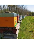 Vente de ruches et accessoires en Isère