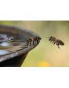 Nourrisseurs pour essaim abeilles vers Vienne