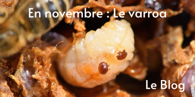 varroa