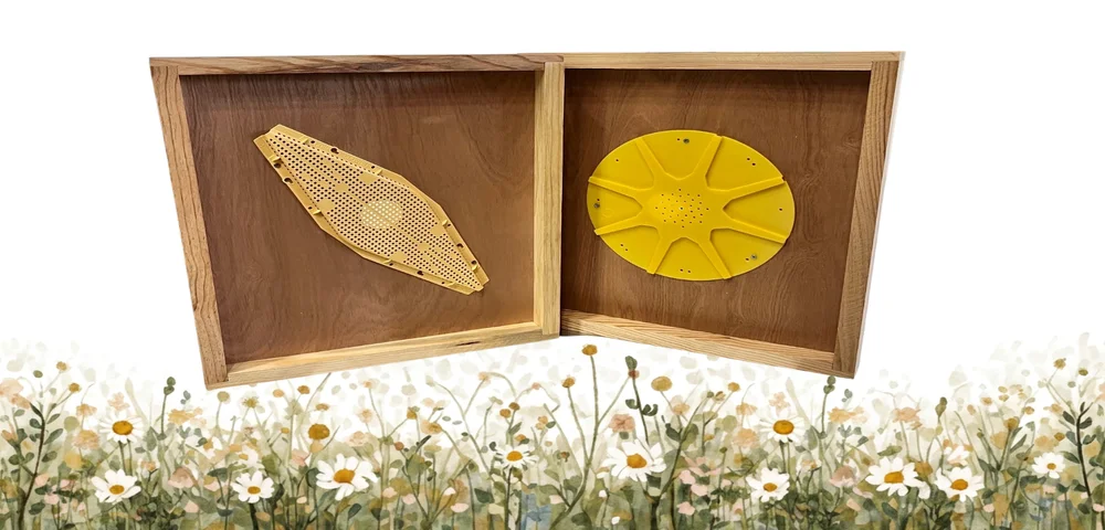 Priaire chasse abeilles