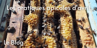 La grappe d'abeilles