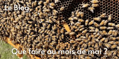 La grappe d'abeilles