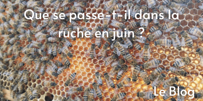 La grappe d'abeilles