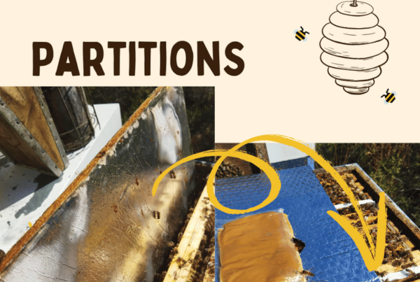Quand mettre en hivernage ses ruches : guide complet
