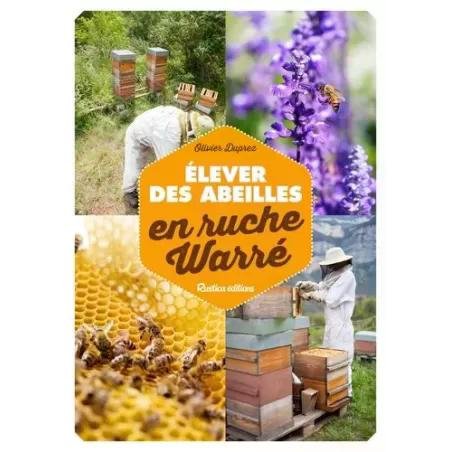 Cycle de vie des abeilles : de l'œuf à l'adulte