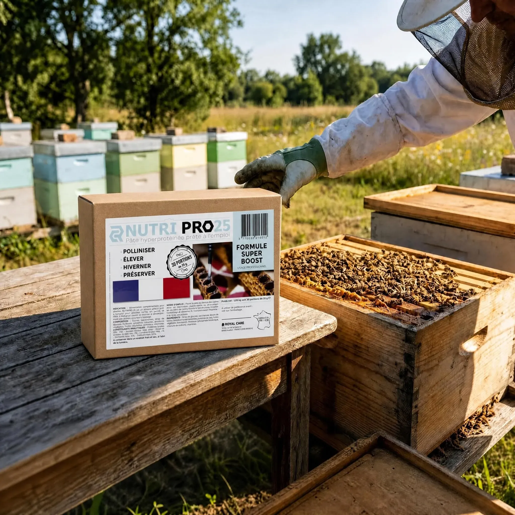 Pâte protéinée pour abeilles : nourrir et renforcer vos colonies
